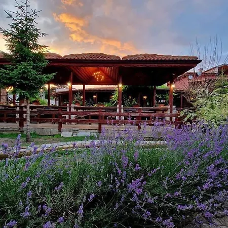 Guest Wild Duck Ezerets