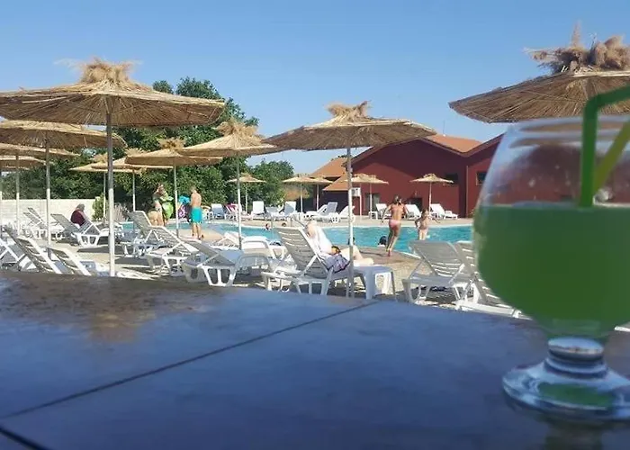 Guest Wild Duck Pensiune *