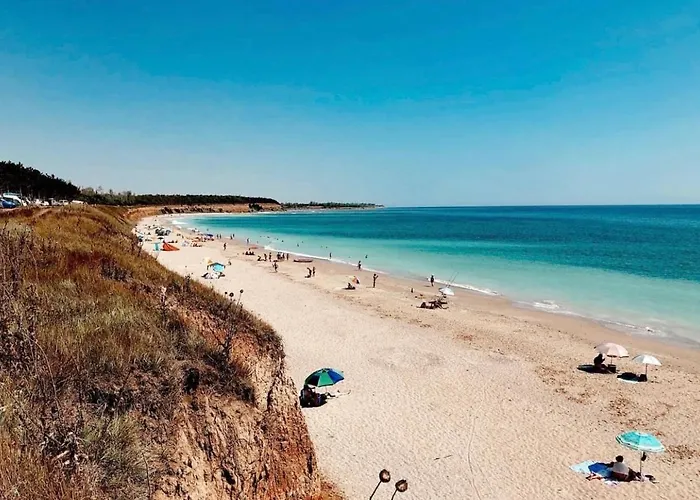 Pensiune Guest Wild Duck *