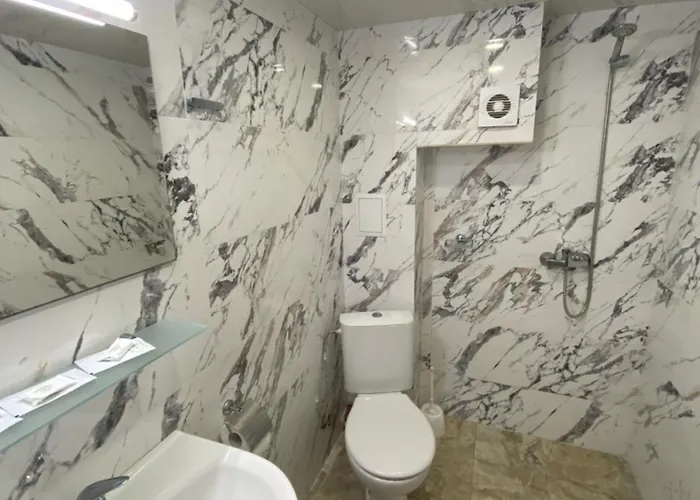 Guest Wild Duck Pensiune *