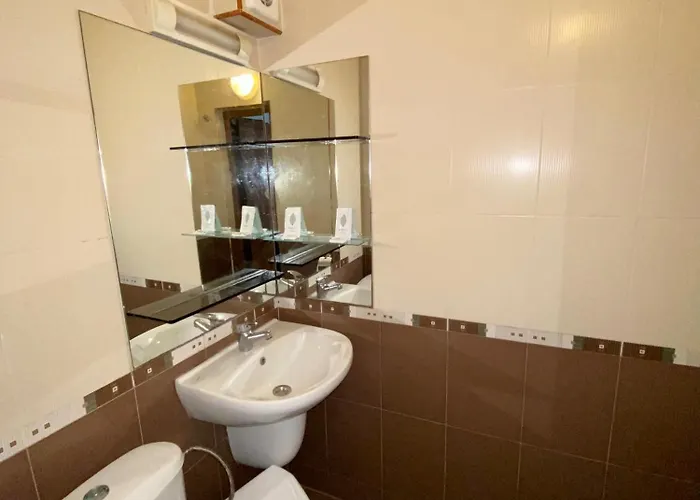 Guest Wild Duck Pensiune