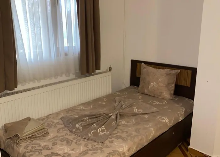 Pensiune Guest Wild Duck *