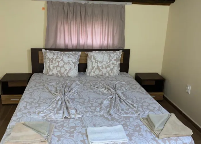 Guest Wild Duck Pensiune Ezerets